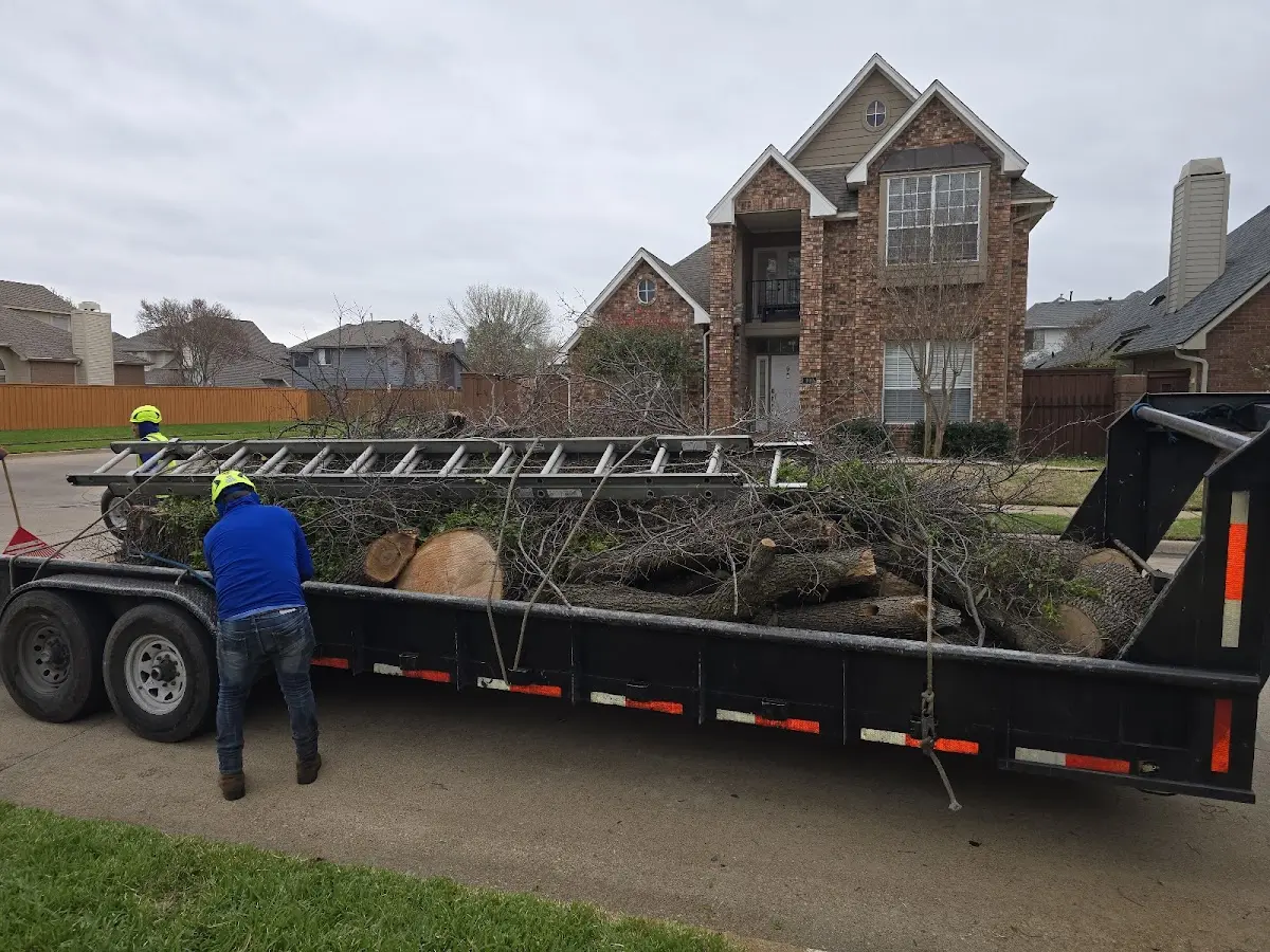 Expert Tree Pest Control with proper safety equipment in Deposit